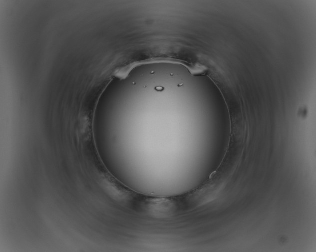 X0000093560087200710151116