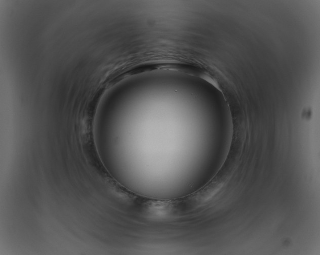 X0000093560088200710151116