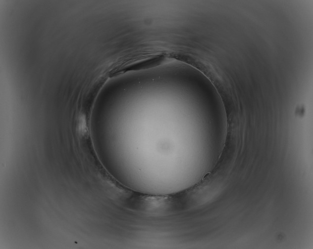 X0000093560089200710151116