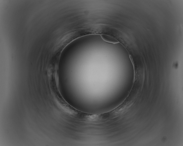 X0000093560092200710151116