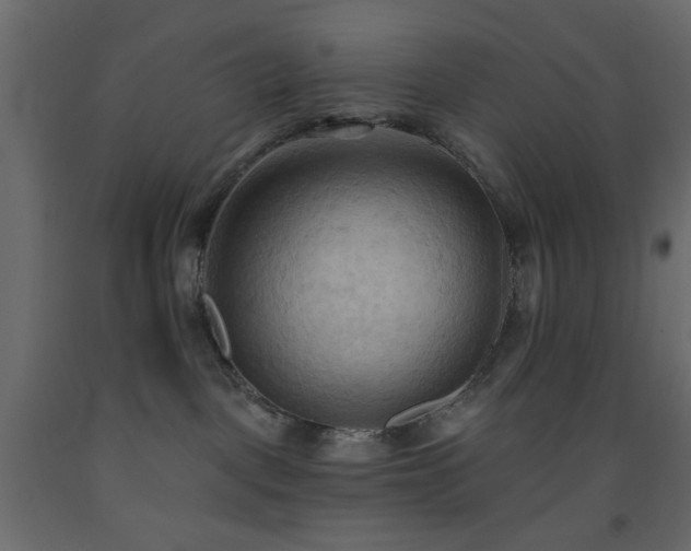 X0000093560093200710151116