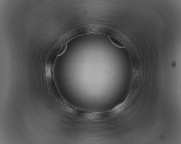 X0000093560094200710151116