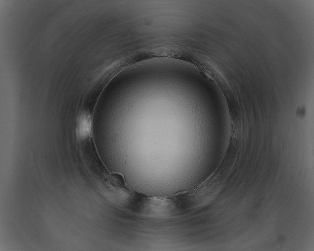 X0000093560095200710151116