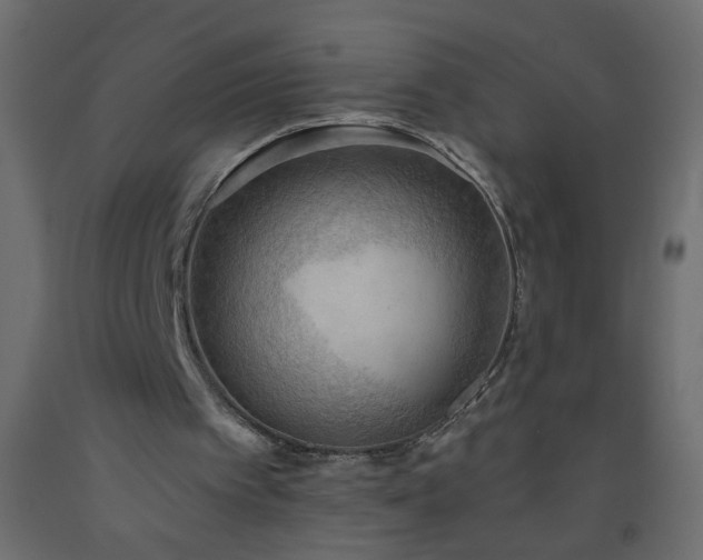 X0000093560097200710151115