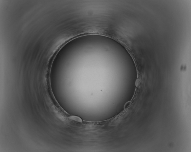 X0000093560098200710151115