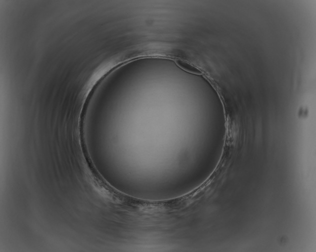 X0000093560099200710151115