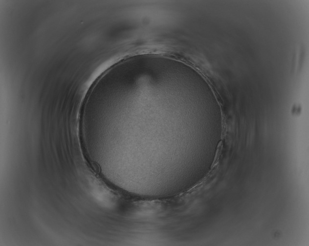 X0000093560100200710151115