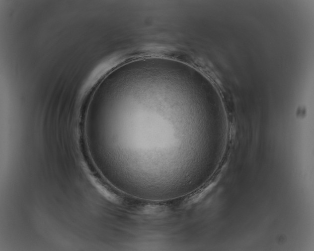 X0000093560101200710151115
