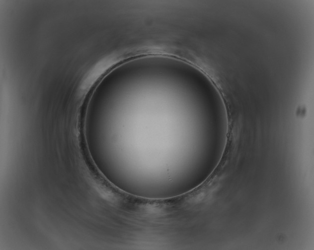 X0000093560103200710151115