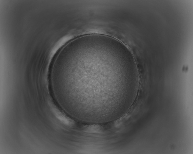 X0000093560104200710151115