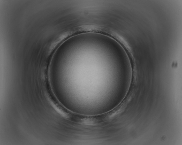 X0000093560105200710151115