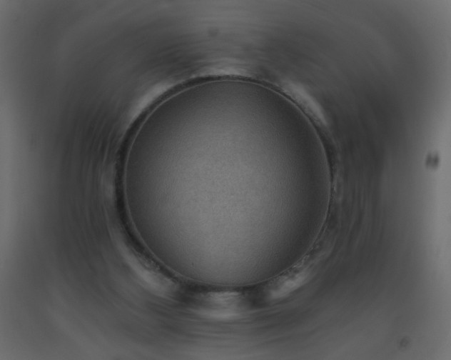 X0000093560108200710151115
