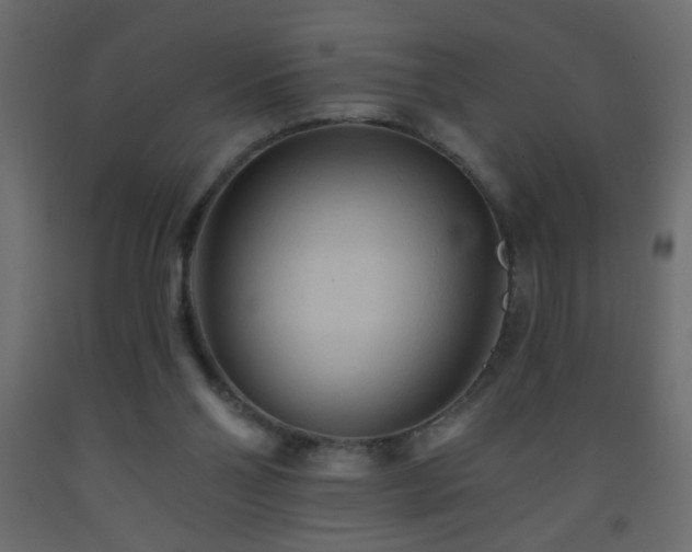 X0000093560110200710151115