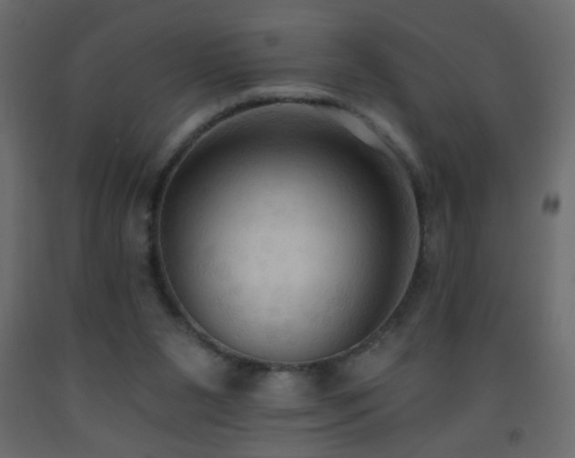 X0000093560111200710151115