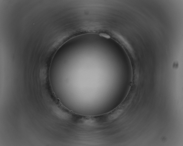 X0000093560113200710151115