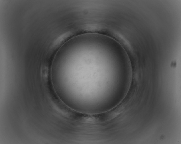 X0000093560115200710151115
