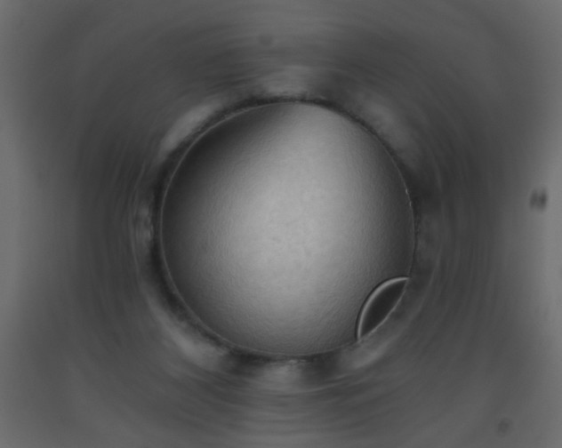 X0000093560116200710151115