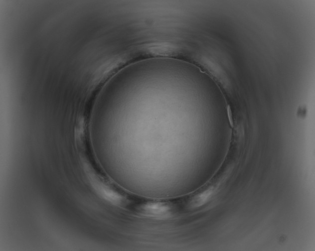 X0000093560117200710151115
