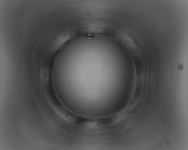 X0000093560120200710151115