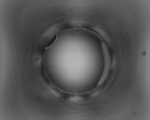 X0000093560125200710151115
