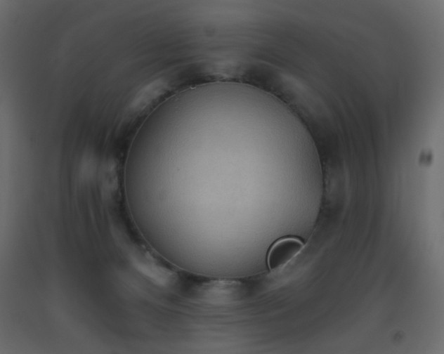 X0000093560128200710151115