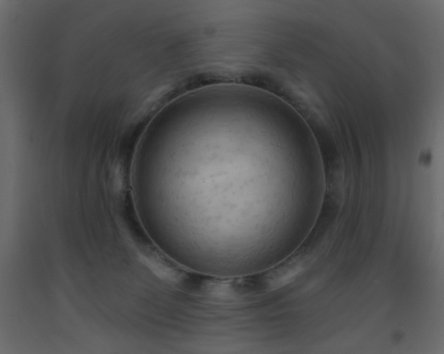 X0000093560131200710151115