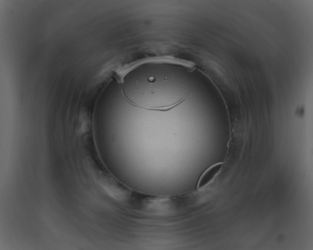 X0000093560132200710151115