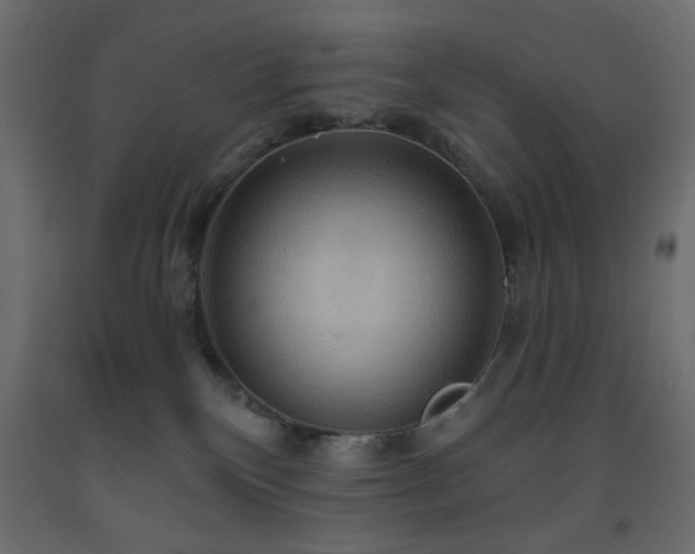 X0000093560136200710151115