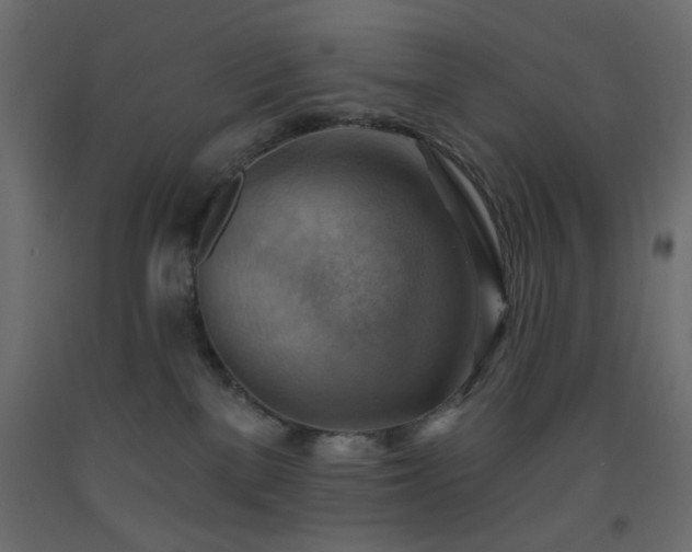 X0000093560137200710151115