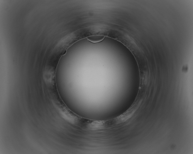 X0000093560138200710151115