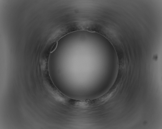 X0000093560139200710151115
