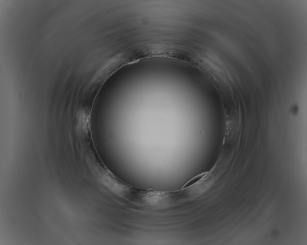 X0000093560142200710151115