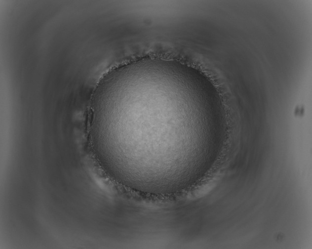 X0000093560144200710151115