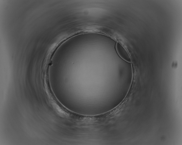 X0000093560145200710151114