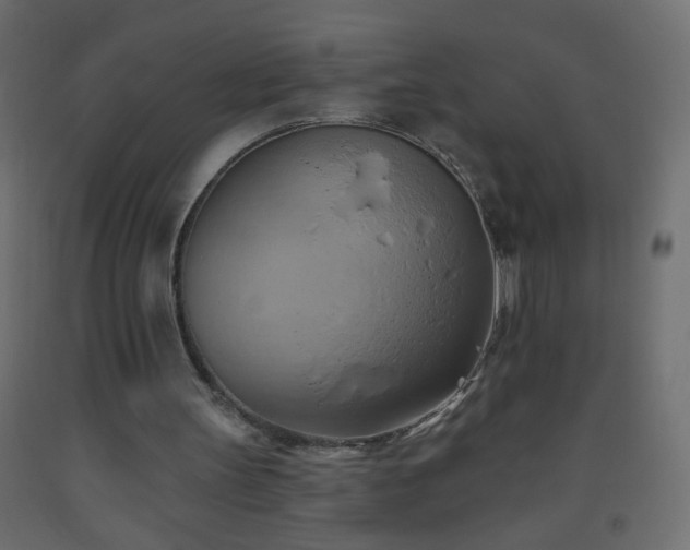 X0000093560147200710151114