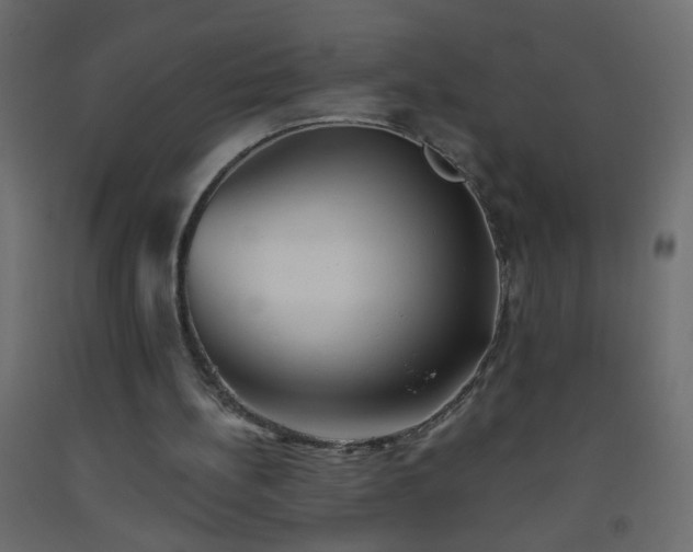 X0000093560148200710151114