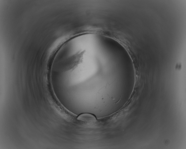 X0000093560149200710151114