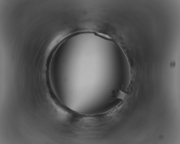 X0000093560150200710151114