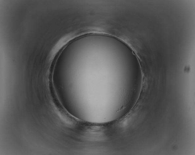 X0000093560151200710151114