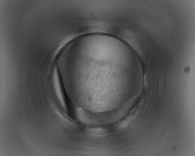 X0000093560156200710151114