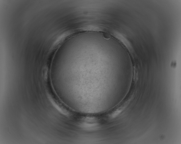 X0000093560157200710151114