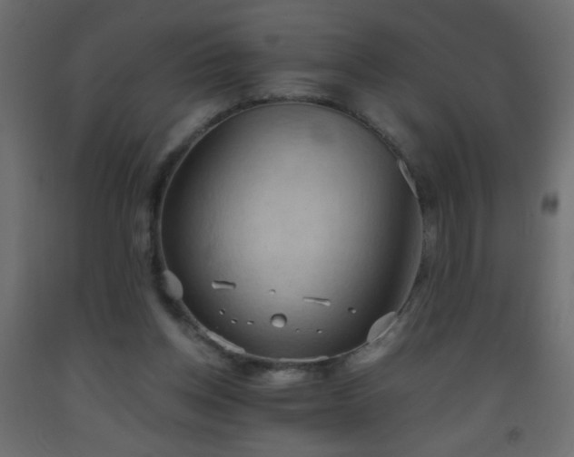 X0000093560158200710151114