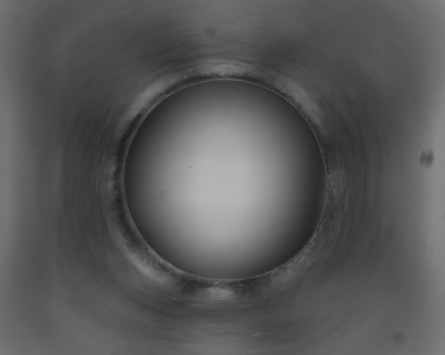 X0000093560159200710151114