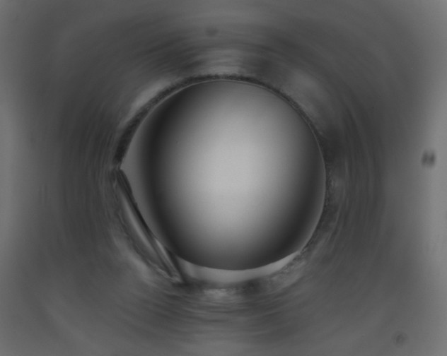 X0000093560160200710151114