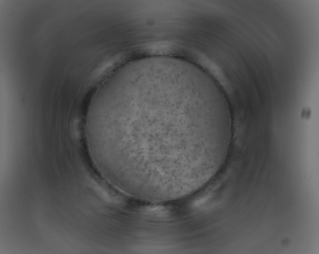 X0000093560161200710151114