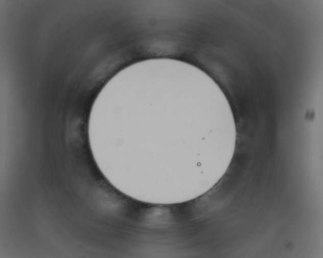 X0000093560162200710151114