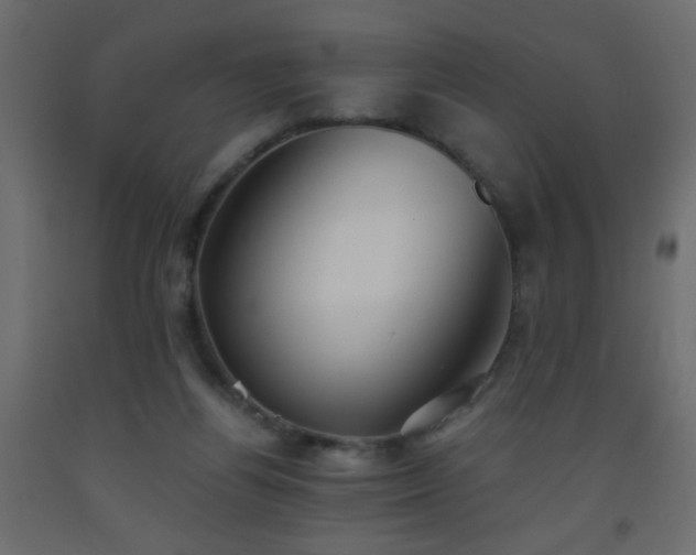 X0000093560164200710151114