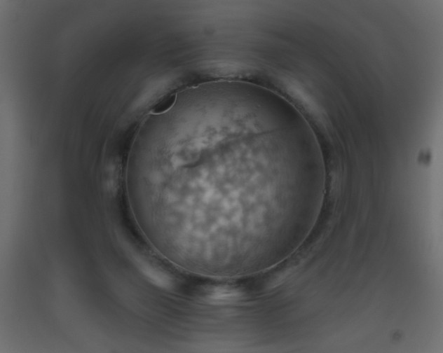 X0000093560165200710151114