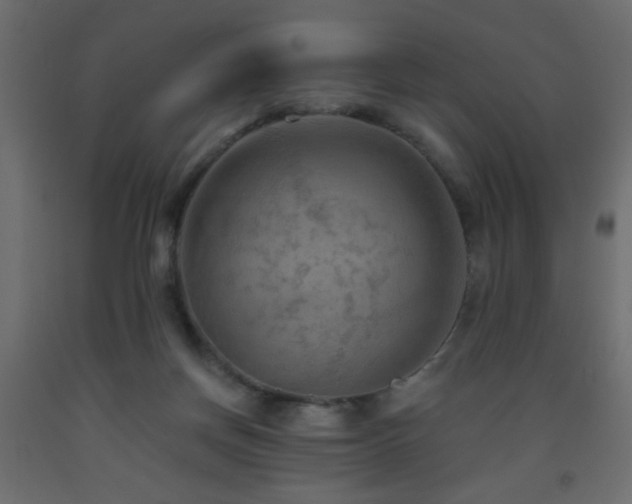 X0000093560166200710151114