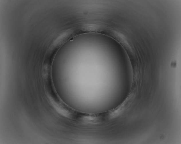 X0000093560167200710151114
